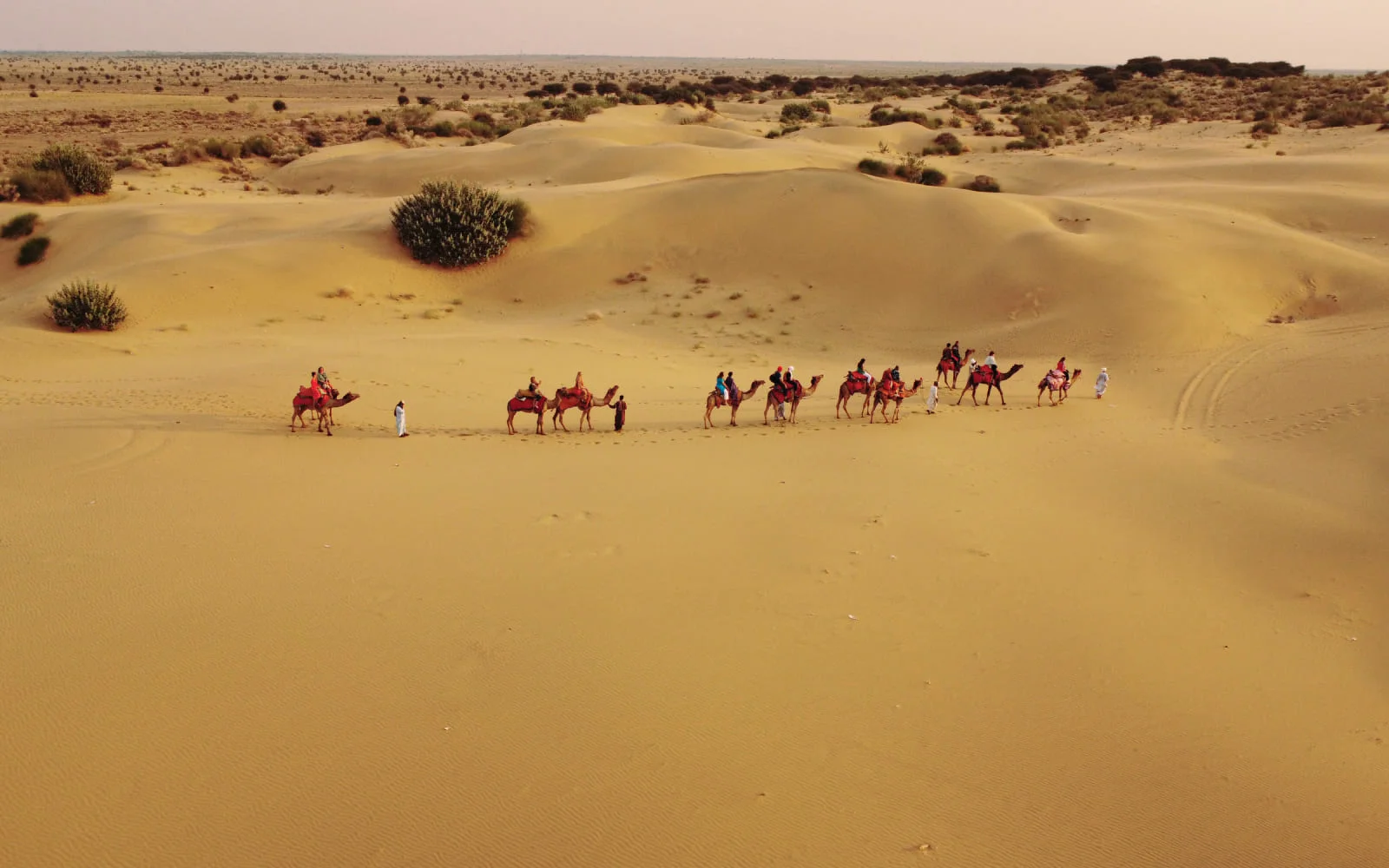 Camel Ride